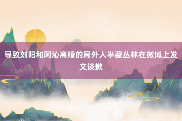 导致刘阳和阿沁离婚的局外人半藏丛林在微博上发文谈歉